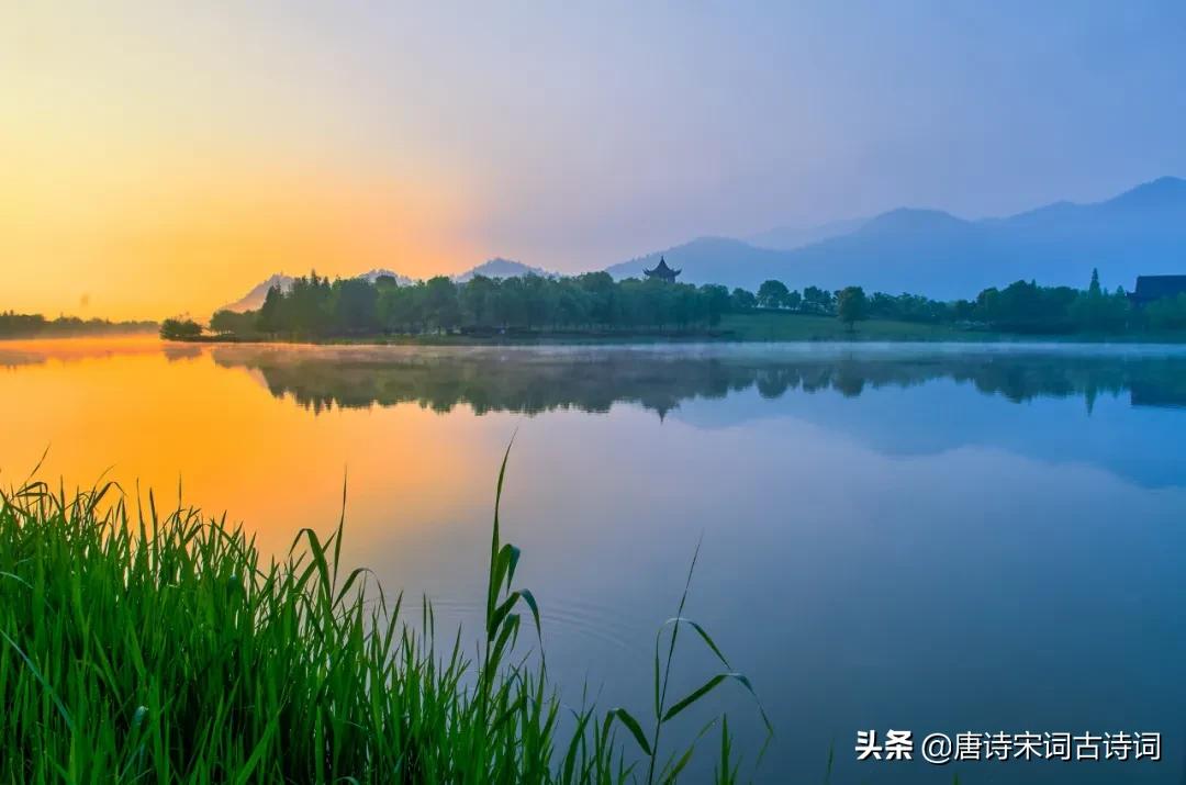 我心素已闲,我心素已闲是什么意思