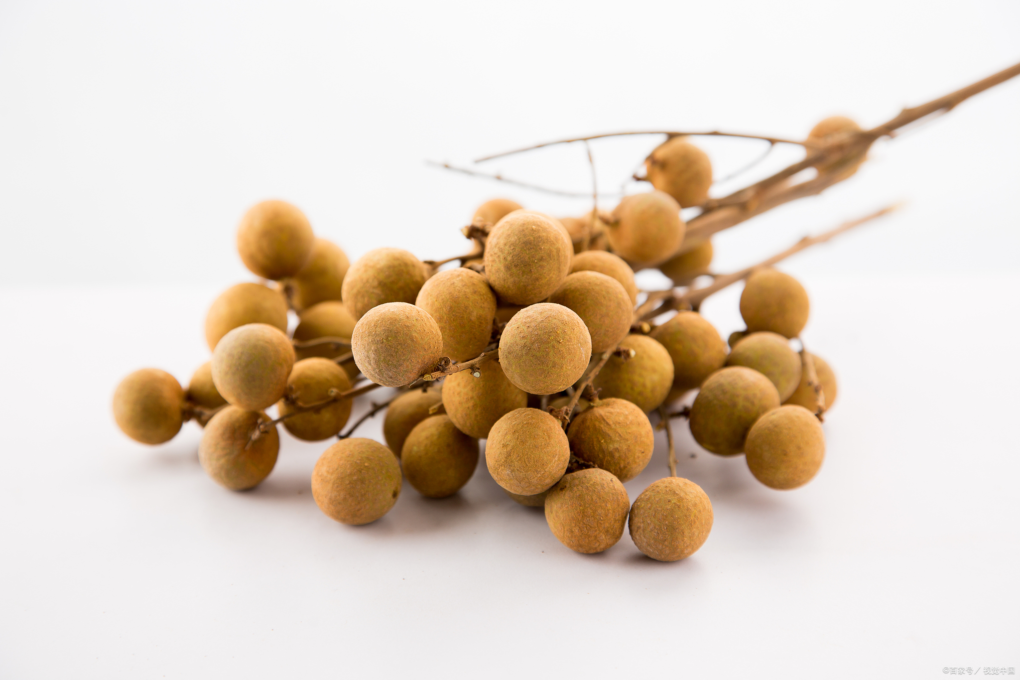 十月必吃的十种水果你吃了几种,九月份最常吃的十种水果