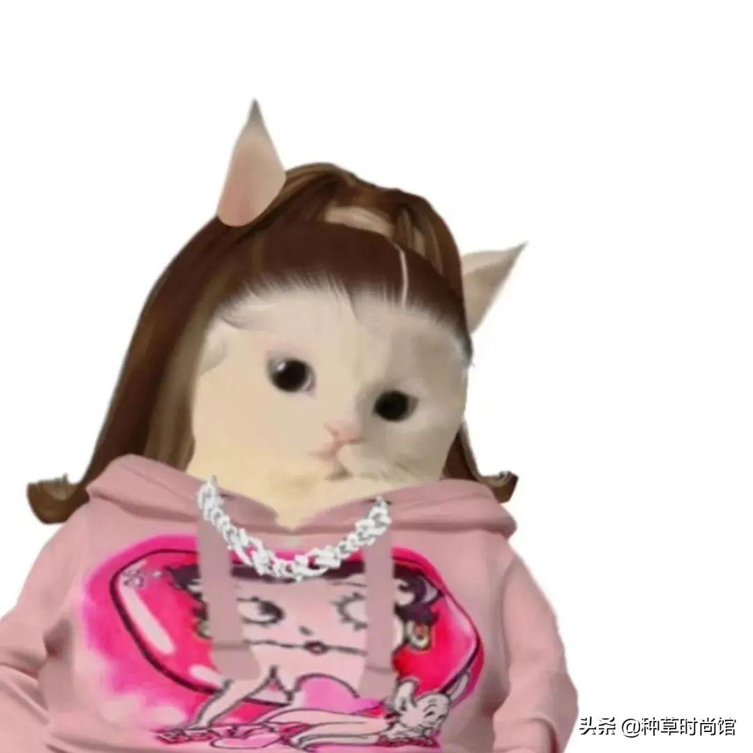 八字刘海怎么打理才不会显头秃,12岁圆脸头秃长发适合剪什么刘海