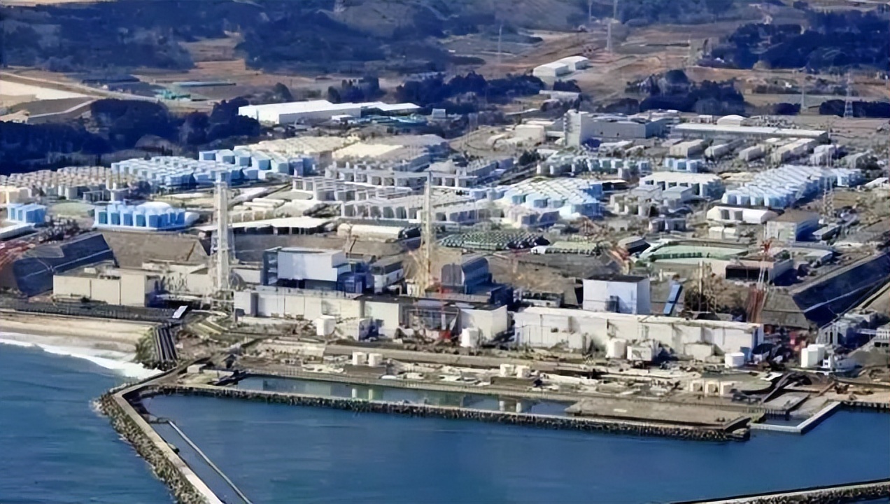 现场直击|裸女大闹颁奖盛典，全身写满字！