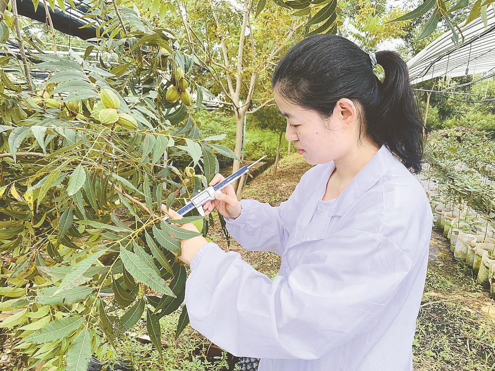 江苏盐城：构建“青立方”服务体系助力青年创新创业