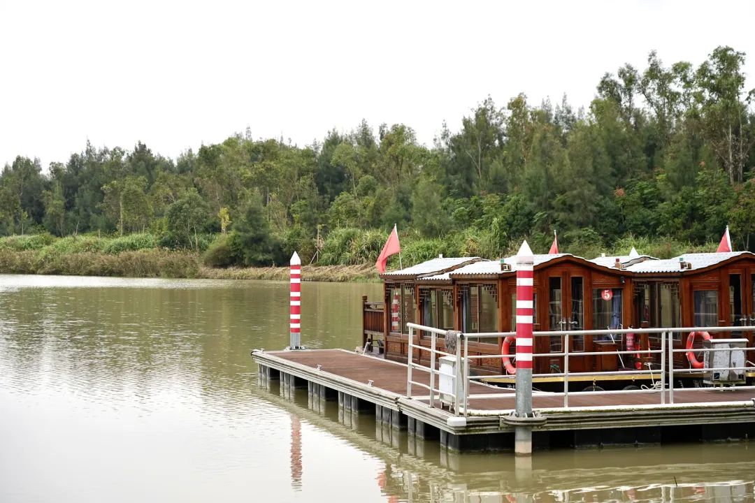 婀垮湴瑙傞笩甯傞泦鐜夌幆,鐜夌幆婀垮湴瑙傞笩