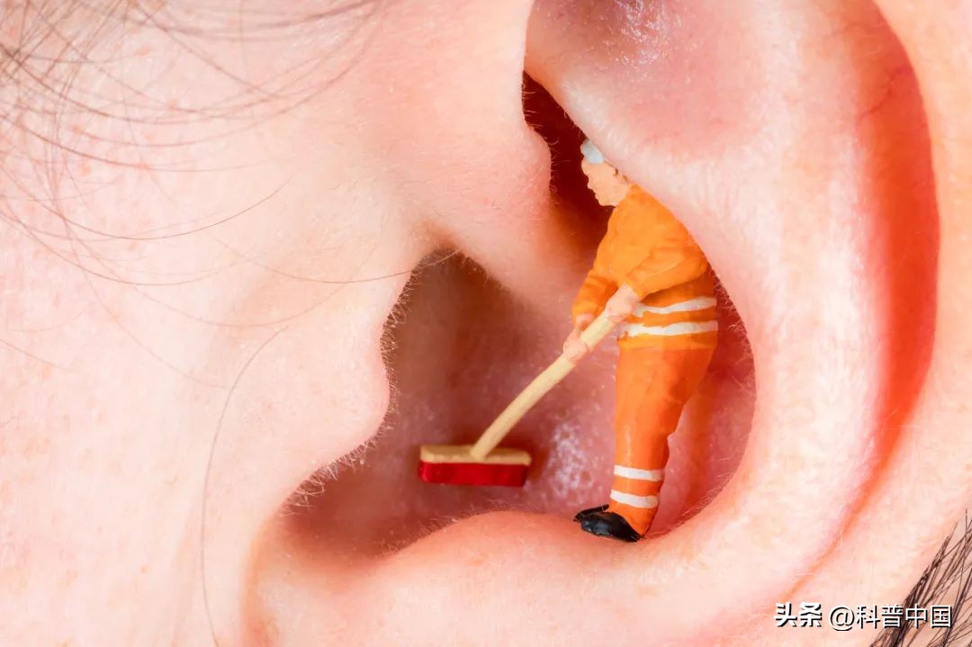 我打赌你肯定没听过,我打赌你绝对没见过原版视频