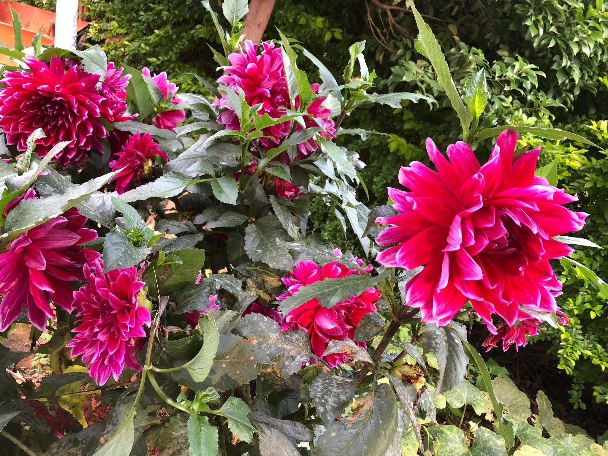 买日用品省钱,网购省钱小技巧日用品