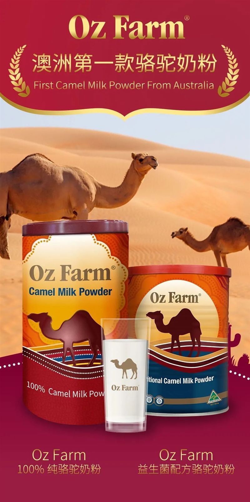 骆驼奶2023市场分析,骆驼奶的未来趋势