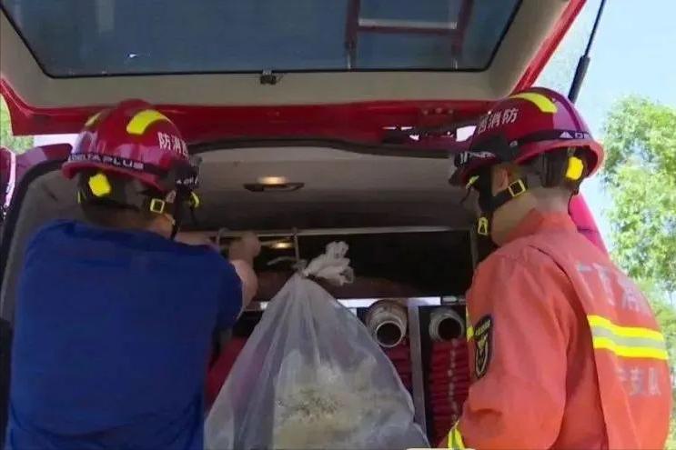 40多斤巨蟒被困深井数月,25斤巨蟒闯入居民家中现场曝光