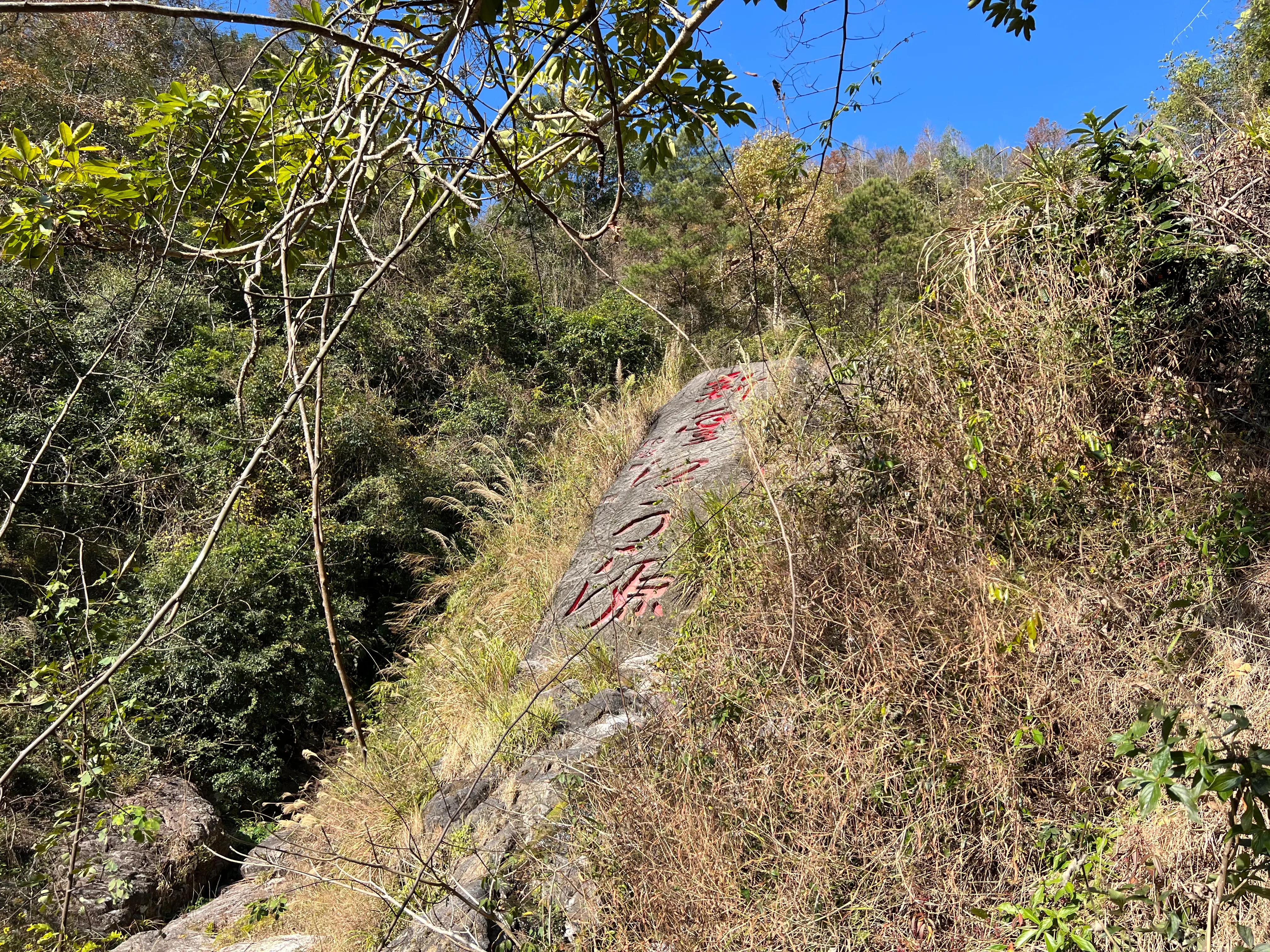 韶关新丰云髻山介绍,广东新丰云髻山旅游攻略
