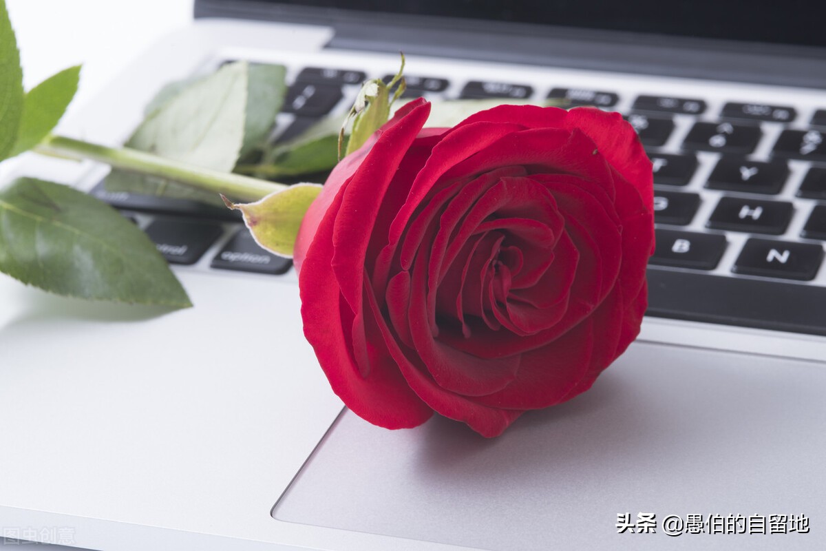 写在情人节：余生的岁月，我就是你的“眼”