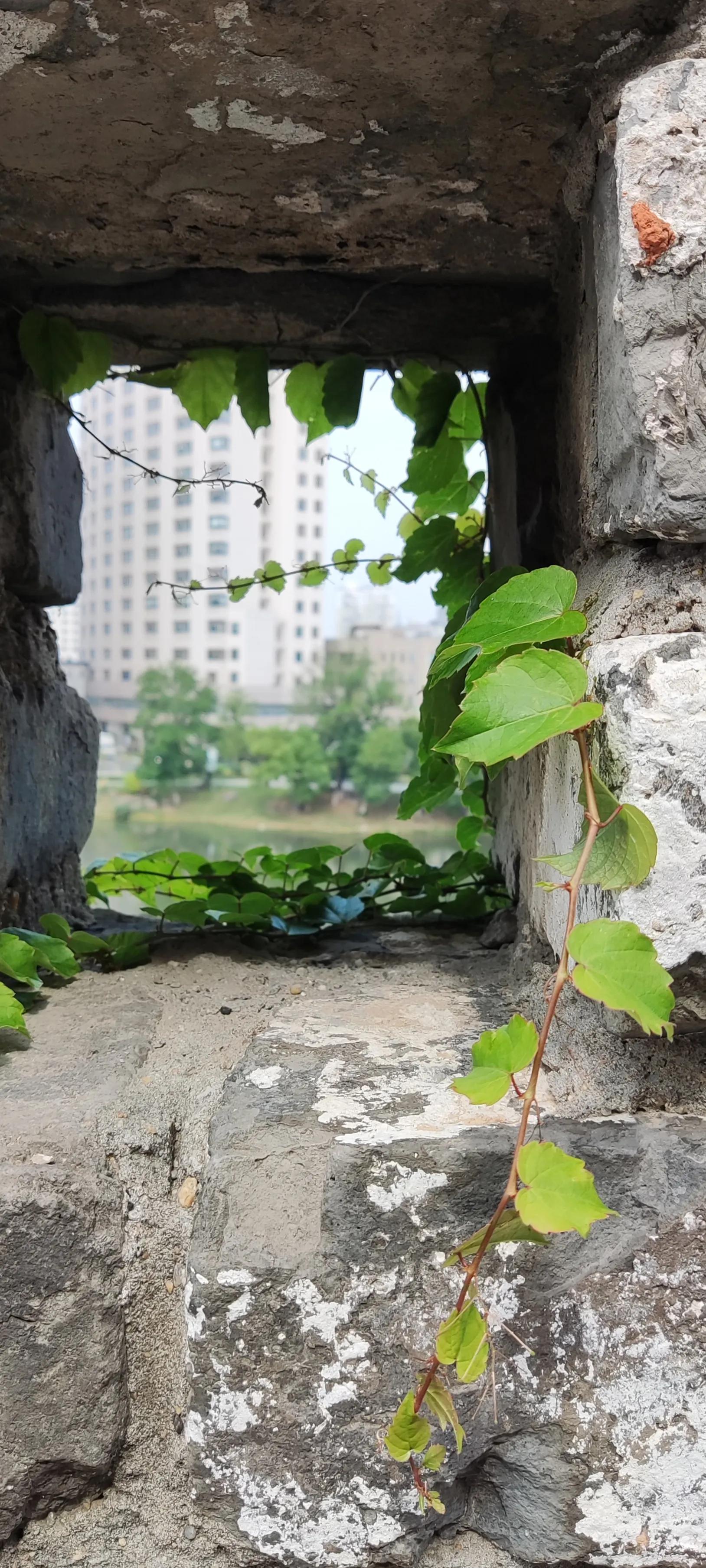 被封控都是因为什么原因,被封控一个月感言