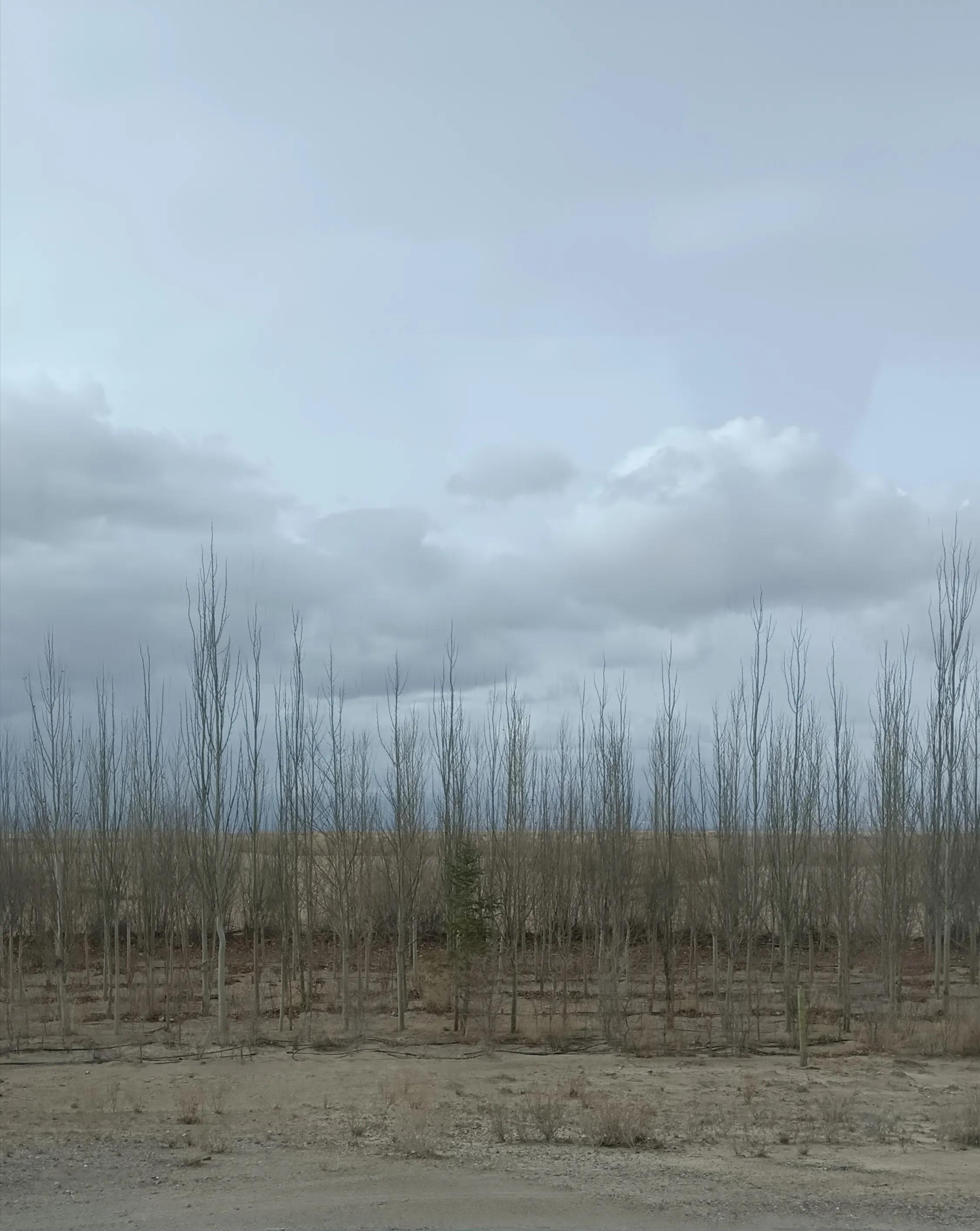 德令哈有未开发的戈壁滩吗,德令哈是美丽还是荒漠