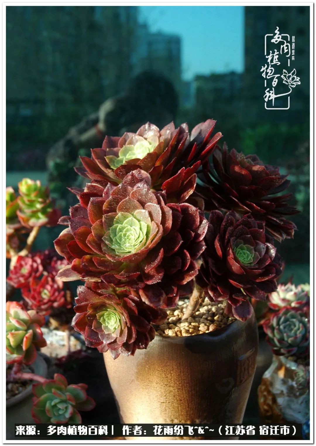 快乐的童年时光视频,回味快乐的童年美好的时光