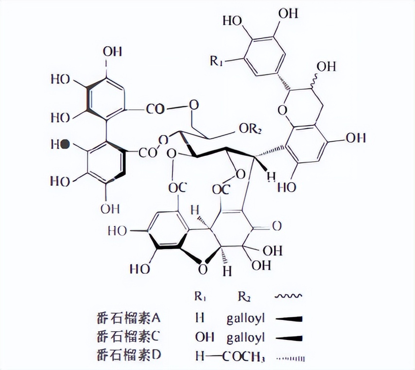 鞣质草药,黄芪的主要成分为鞣质和挥发油