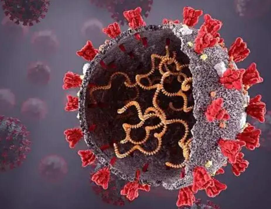 新冠特效药有没有必要买,新冠特效药有这么难研发吗