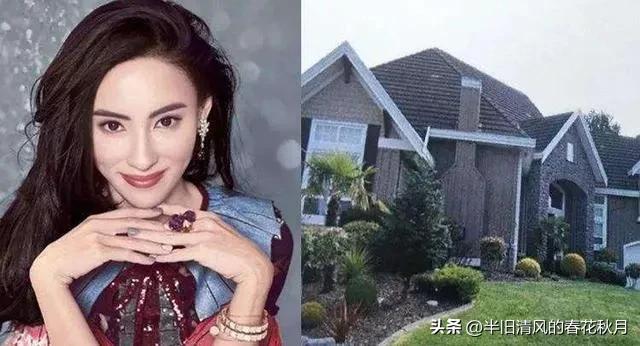 香港张柏芝在大陆生活,上海张柏芝的视频