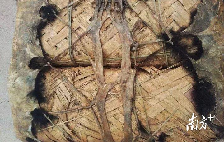 315茶叶骗局揭秘讲解,315茶叶骗局揭秘视频