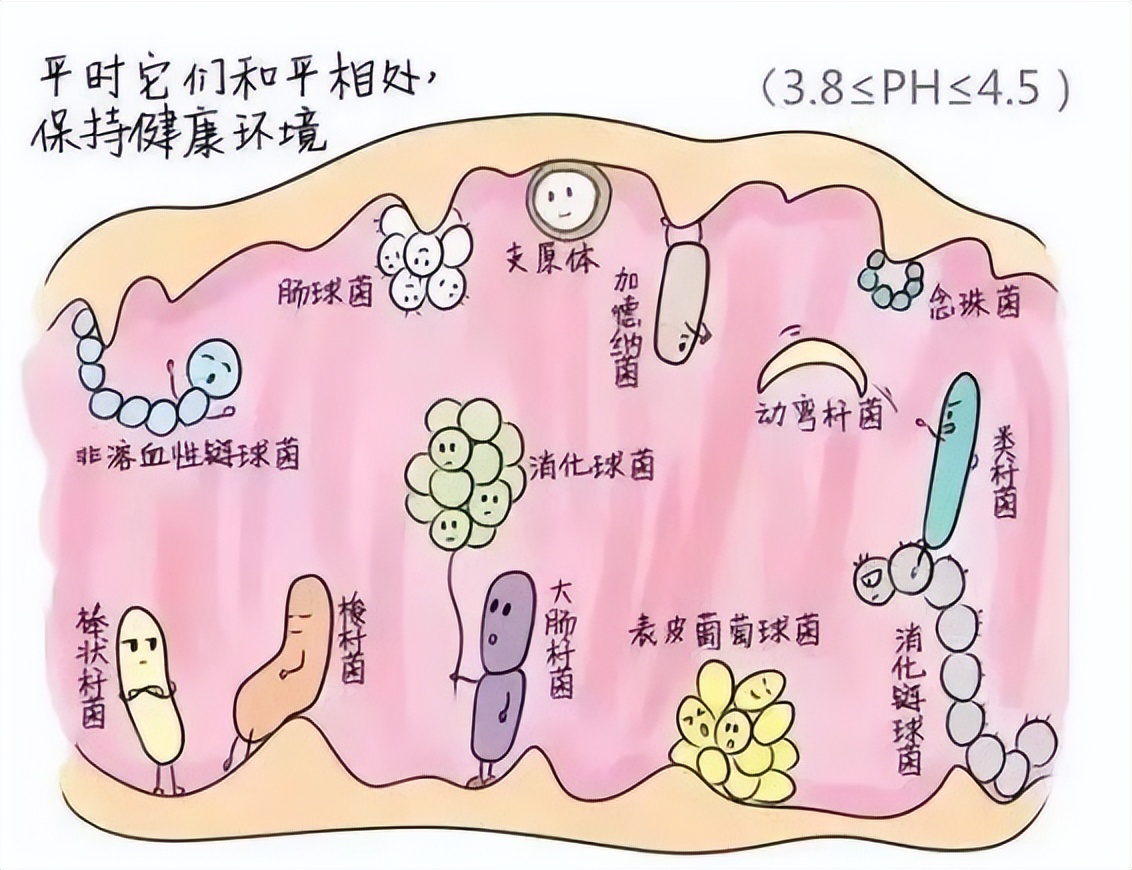 阴道炎拖着不治疗会有什么危害？