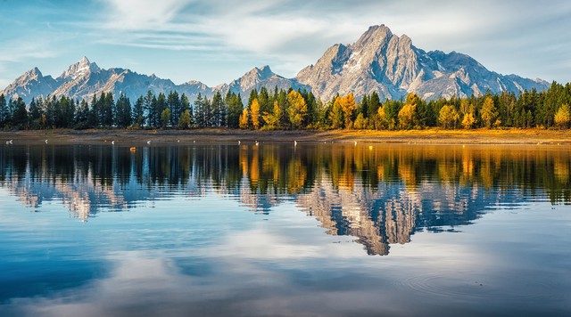 适合当壁纸的图片可爱,适合当壁纸的图片女生