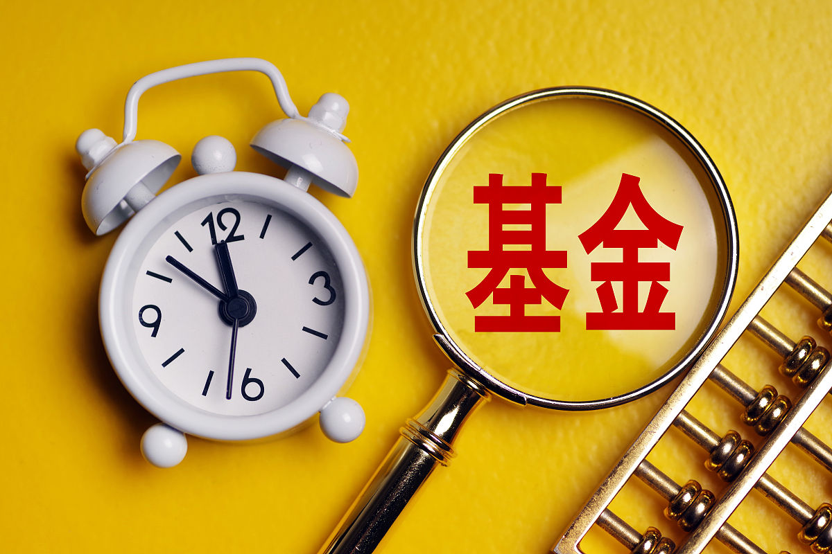 1000本金低风险基金收益,什么基金风险高收益也高