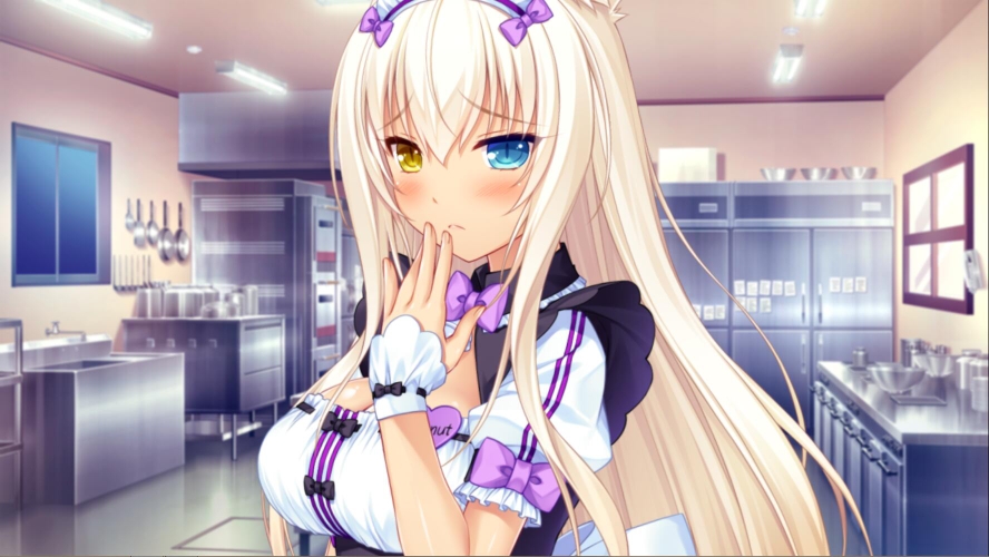 nekopara顺序,nekopara怎么玩才有意思