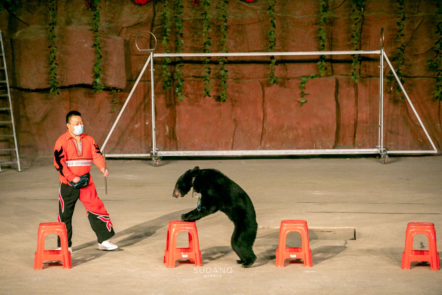 武汉哪个动物园比较适合小朋友玩,武汉值得带孩子去的动物园