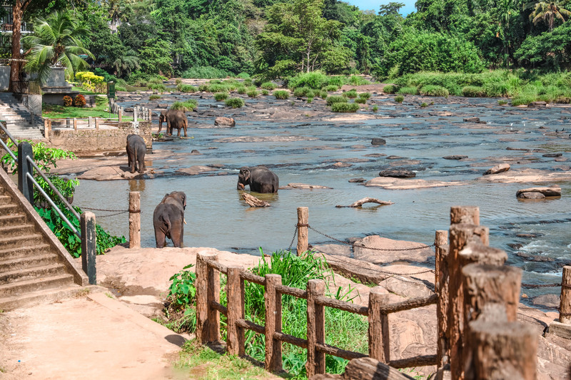 斯里兰卡旅游攻略必去景点,斯里兰卡最佳旅游攻略