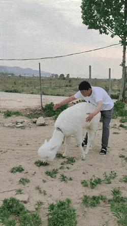 上课衣服穿反怎么办,上课忘记穿裤子该怎么办