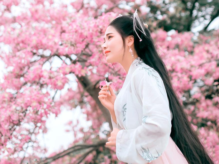 水调歌头虚实结合的写法,水调歌头写作技巧