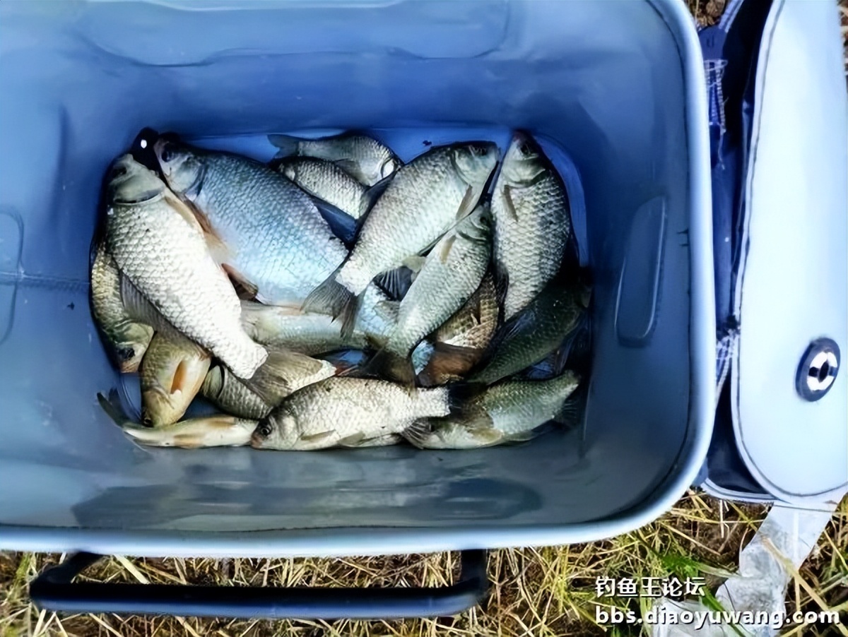 双铅钓流水要用吃铅大的漂吗,双铅跑铅真的抗流水吗