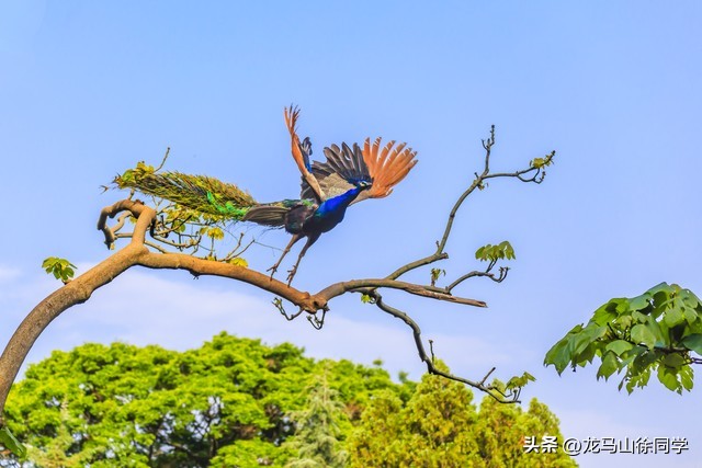 昆明著名景点推荐,昆明旅游景点