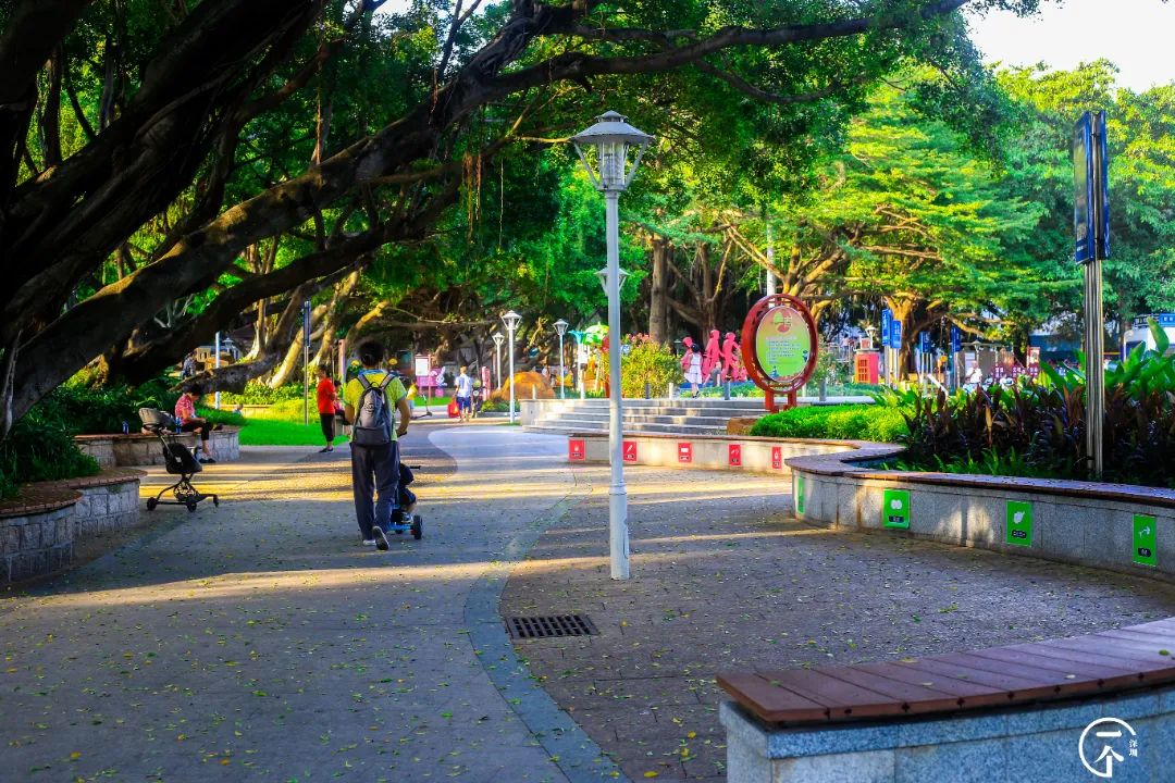 深圳航空空姐空少,深圳航空空少乘务员