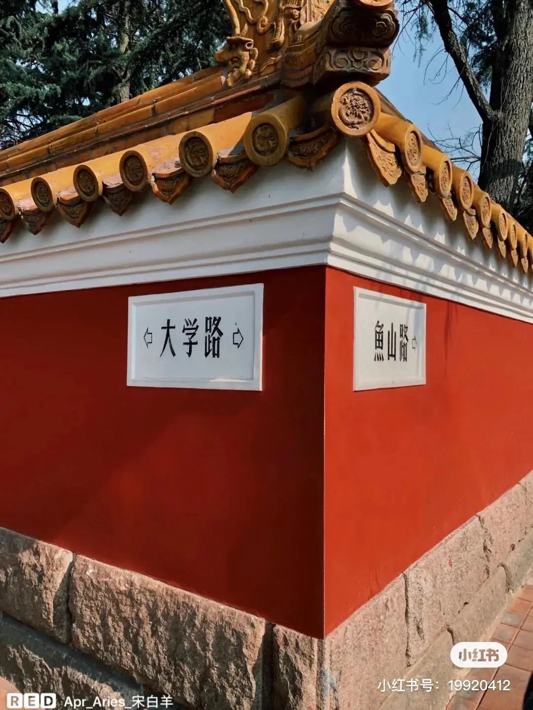 四月来青岛不可错过的打卡地,青岛绝美打卡点