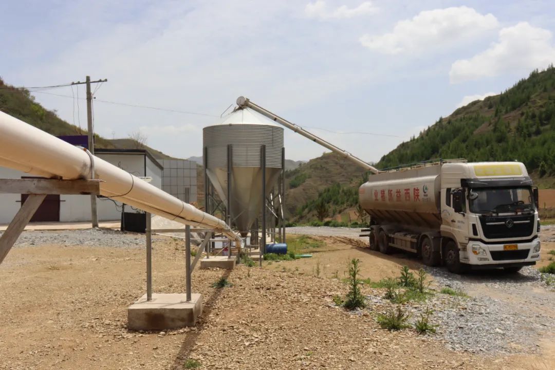 生态养殖大黑猪致富经,笨猪养殖致富