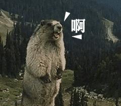 紧急预警被骗的人,紧急提醒多人被骗聊天记录全曝光