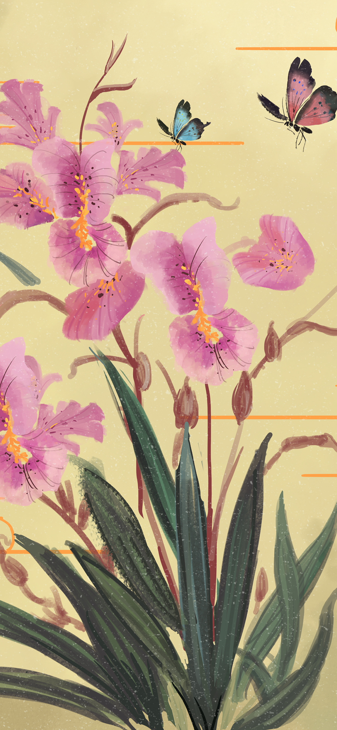 手机型号壁纸图片,169手机壁纸尺寸