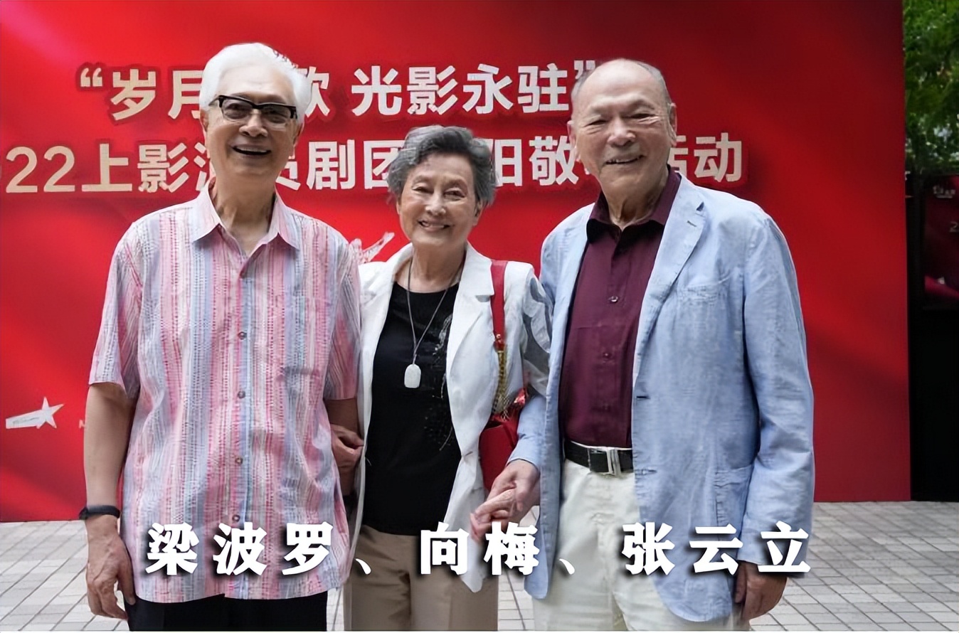 演员张云立简介,著名演员张云立