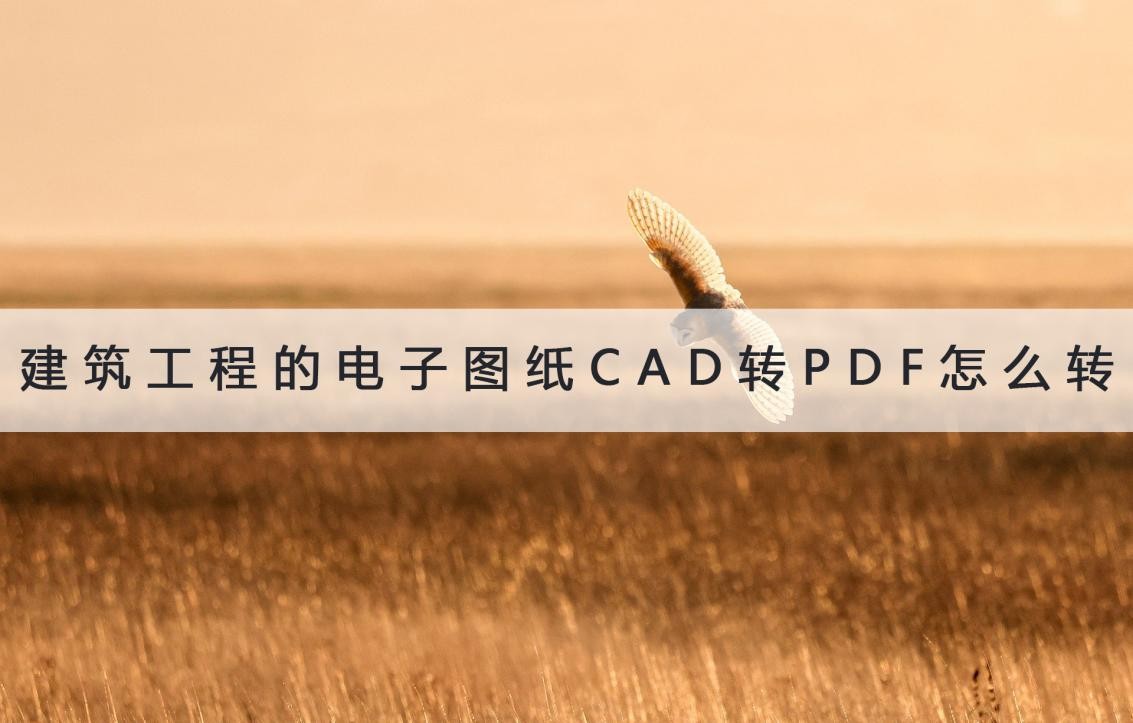 cad图纸转成pdf打印比例怎么设置,cad中如何输出自定义尺寸pdf图纸