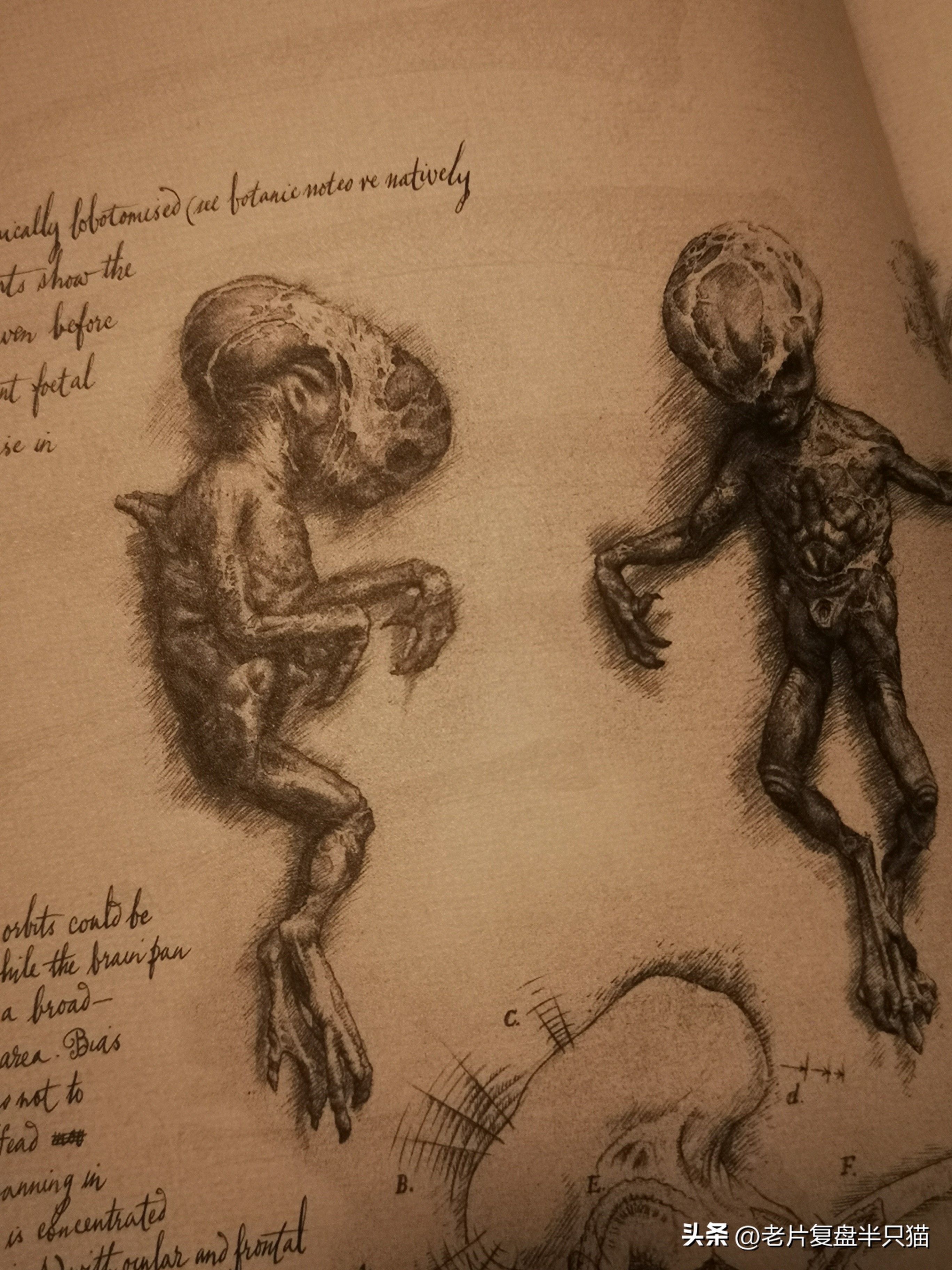 仿生人大卫的秘密,仿生机器人大卫