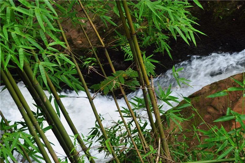 泸州一天的游玩攻略,泸州假期去哪里玩