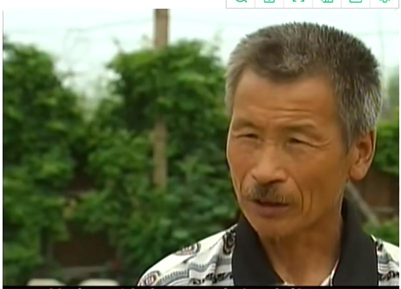 95年吉林农妇好心救毒蛇,吉林农妇好心收养毒蛇