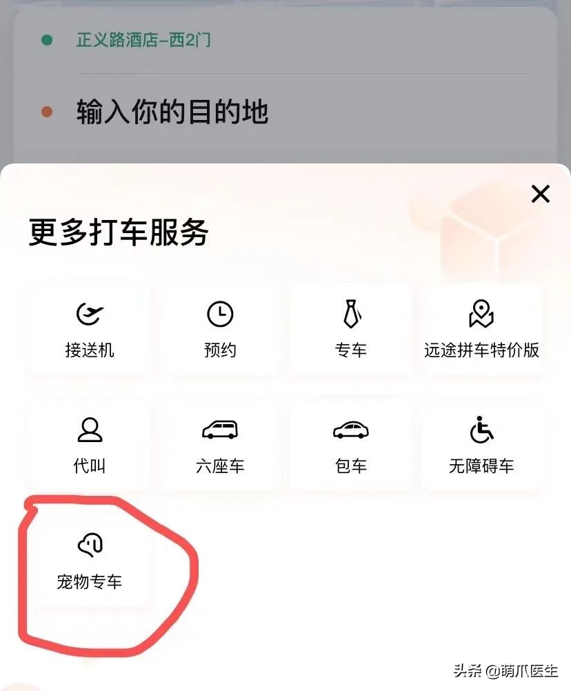带猫网约车,带猫能打到网约车吗