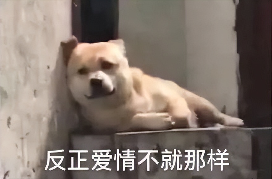 微信更新特别功能,微信出新功能你要不要尝试一下