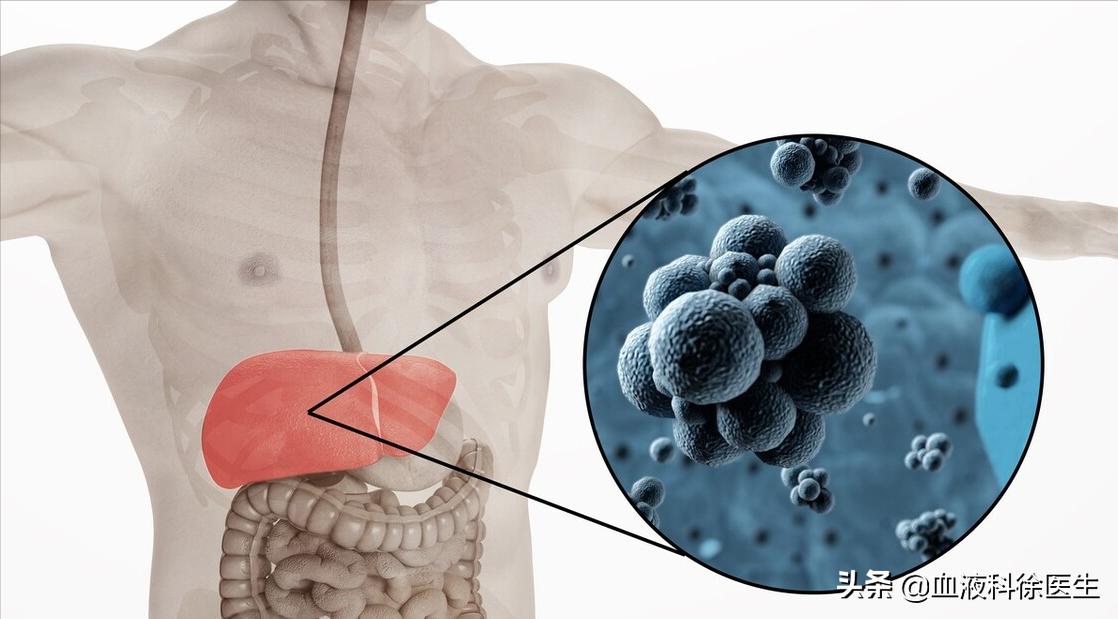 乙肝患者服用恩替卡韦多久能停药,乙肝患者长期吃恩替卡韦能好吗
