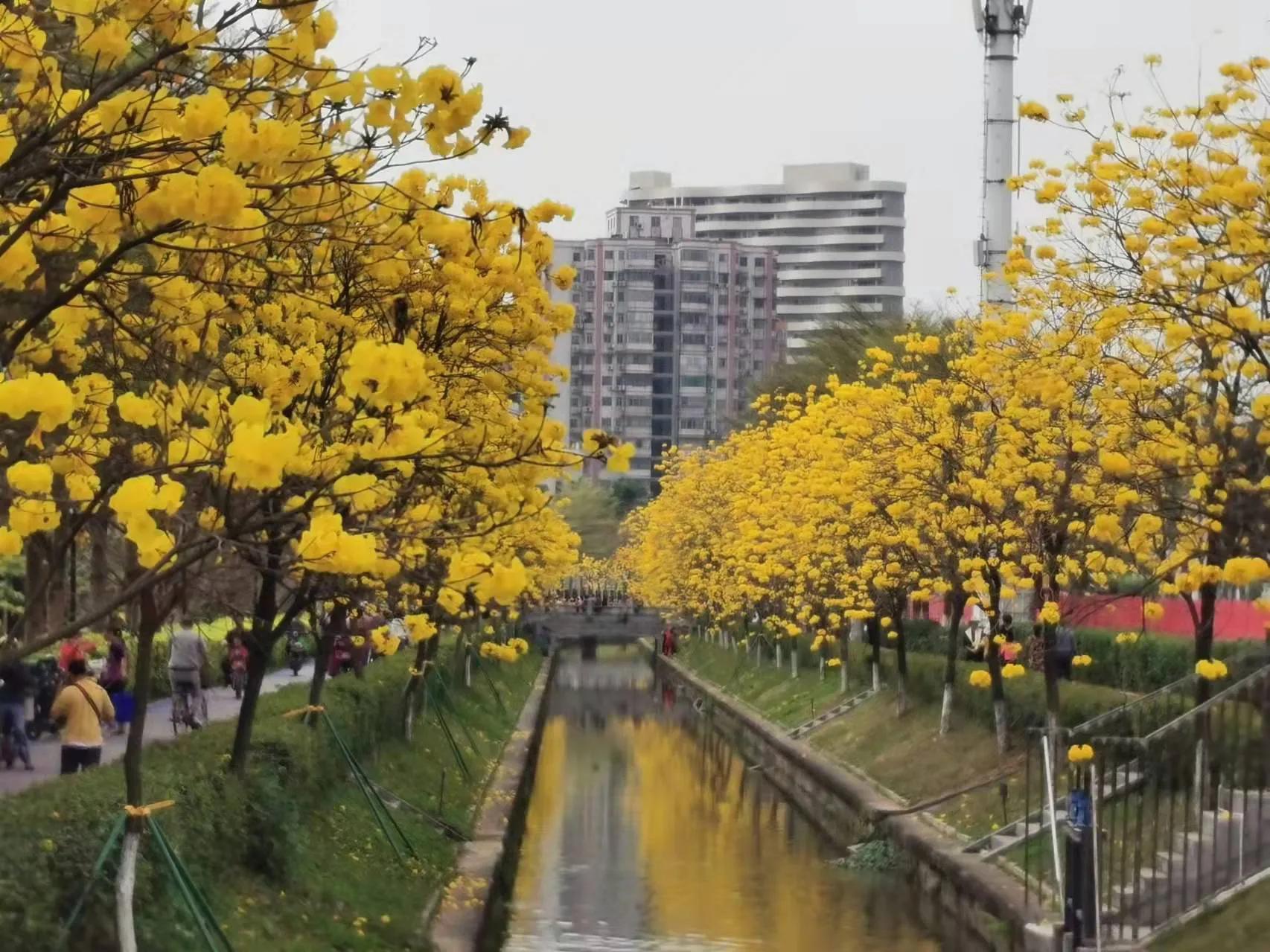 草枕原文,草枕名句