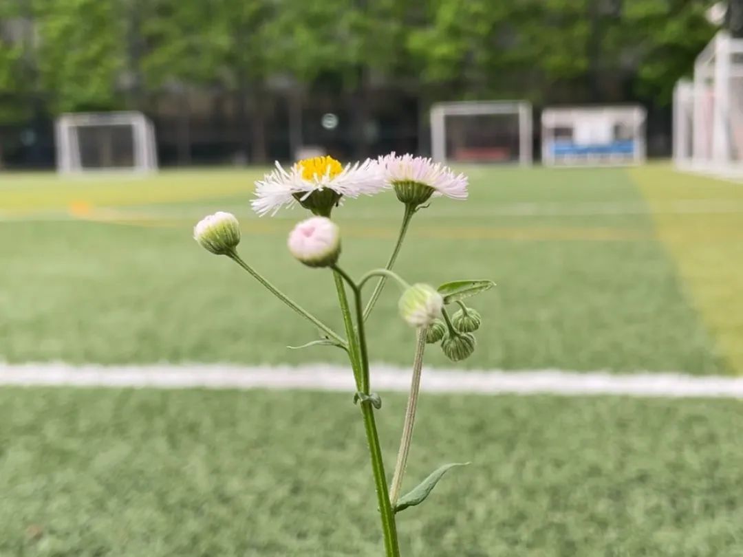 Moments｜创业者的2022：Recharge，劫后新生，海葵复苏了