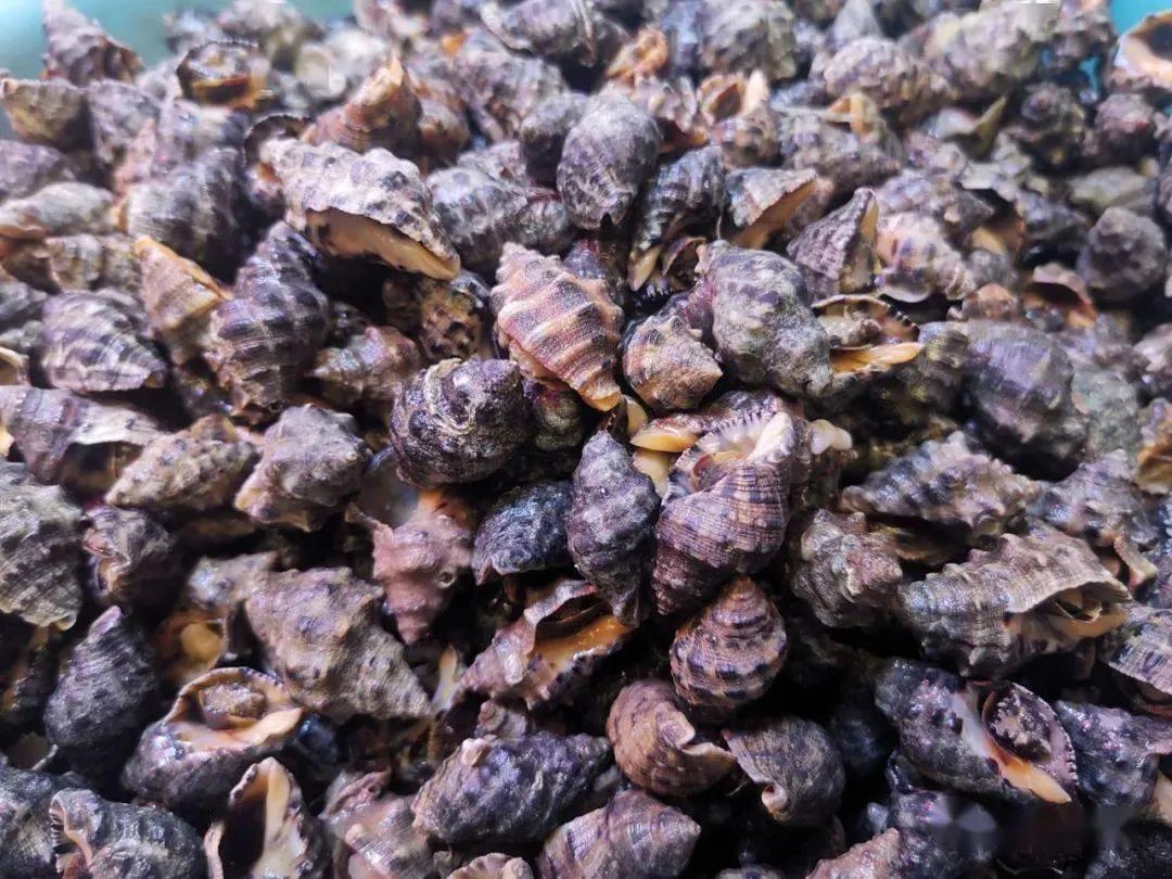 15种海鲜的经典吃法及价格,常见的海鲜正确吃法大全