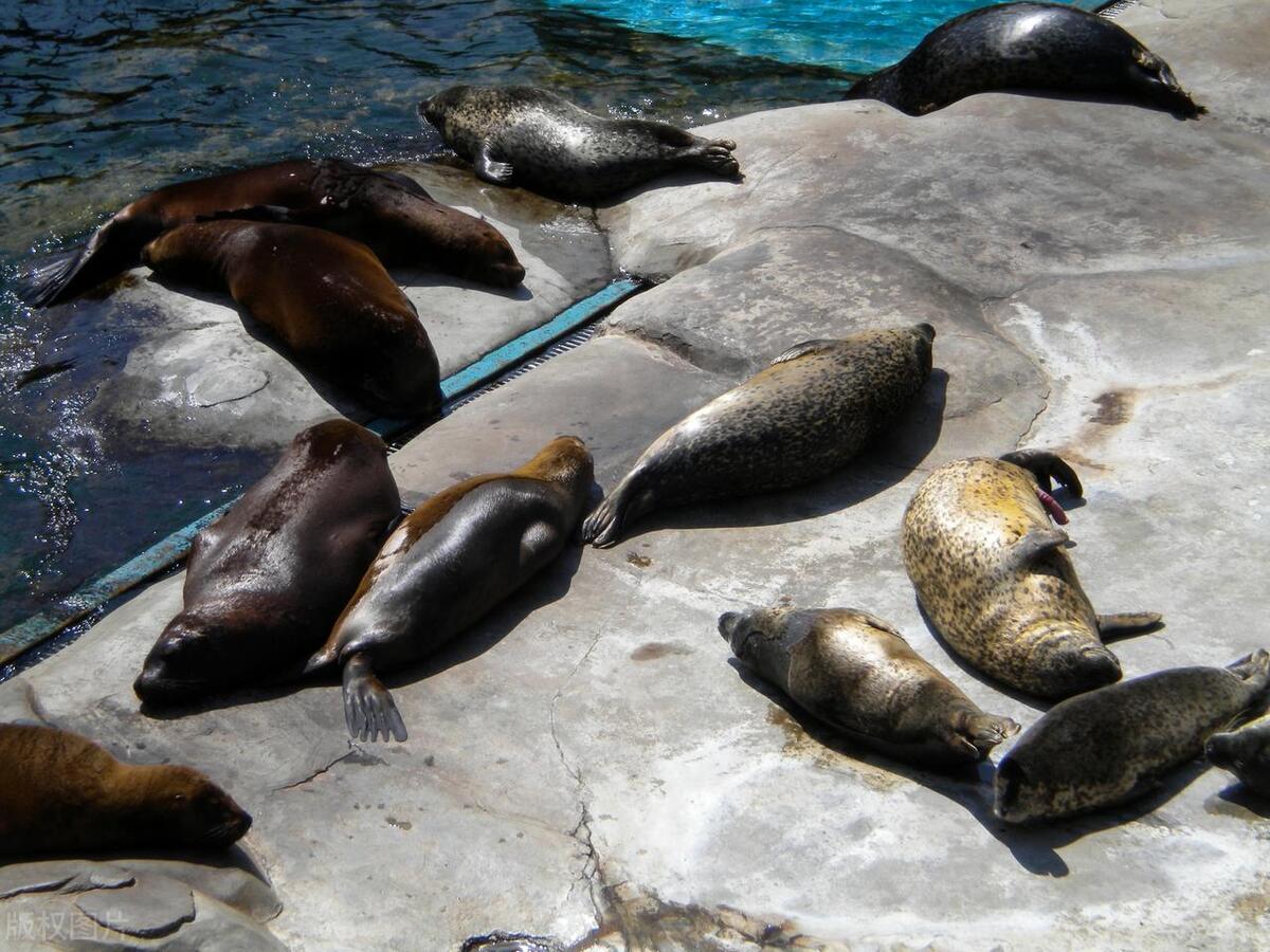 欢乐过六一活动,国内好玩十大主题乐园排行