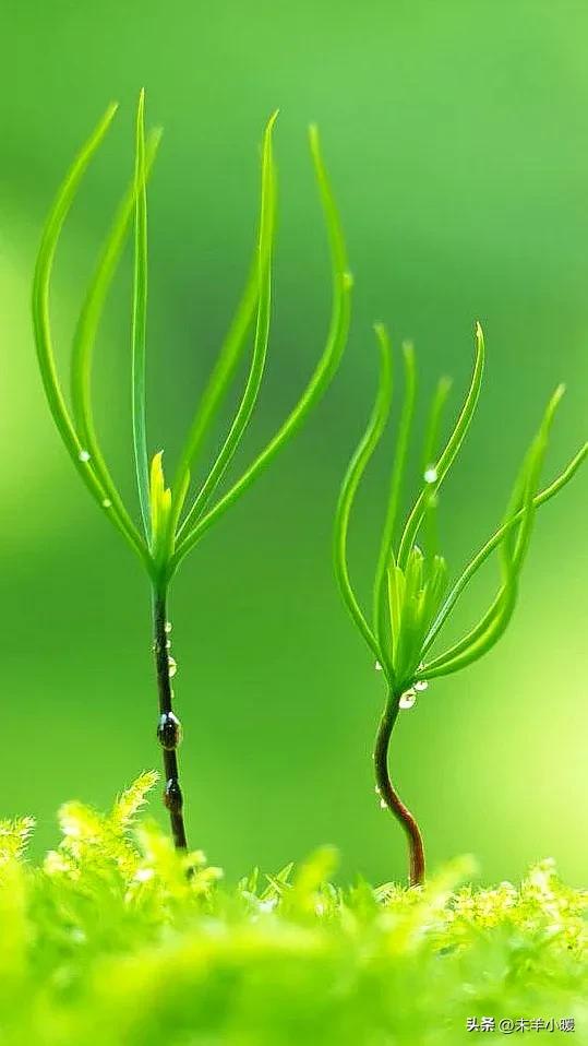 超清超美独一无二手机壁纸图片,养眼养心的壁纸