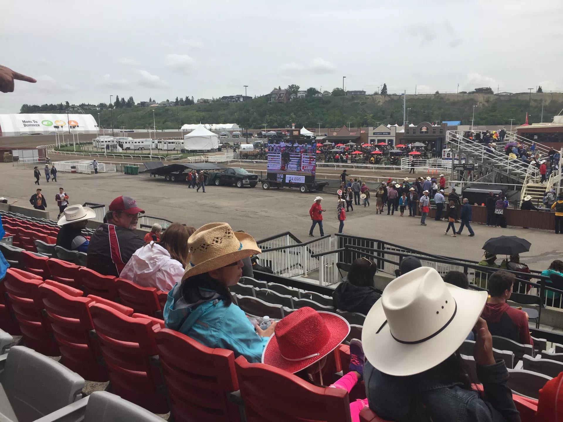 青岛如何带上猫猫去加拿大多伦多,钱猫猫加拿大之旅