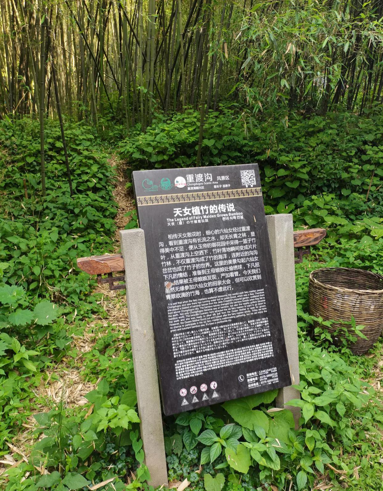 重渡沟音乐完整版,重渡沟菩提树