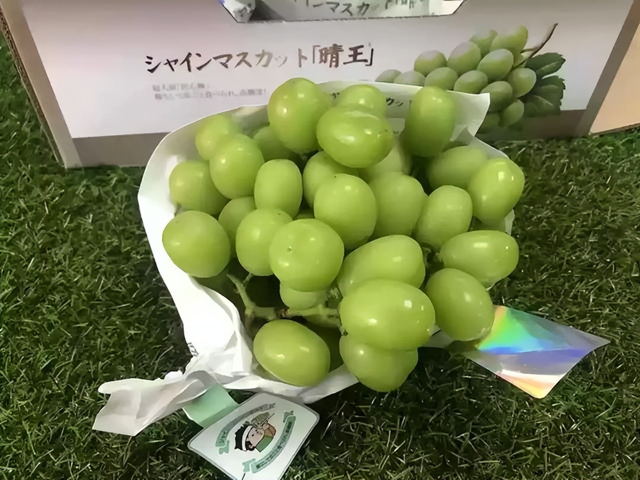 日本阳光玫瑰葡萄2000一斤,日本阳光玫瑰葡萄多少钱一斤